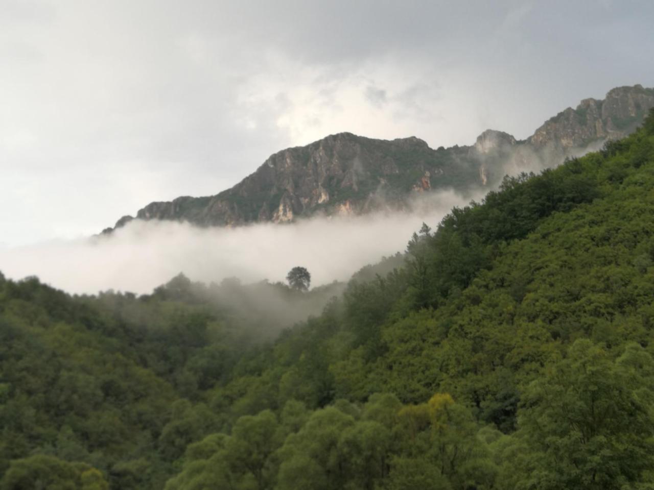 Juzni Vetar Hotel Trnski Odorovci Exterior foto